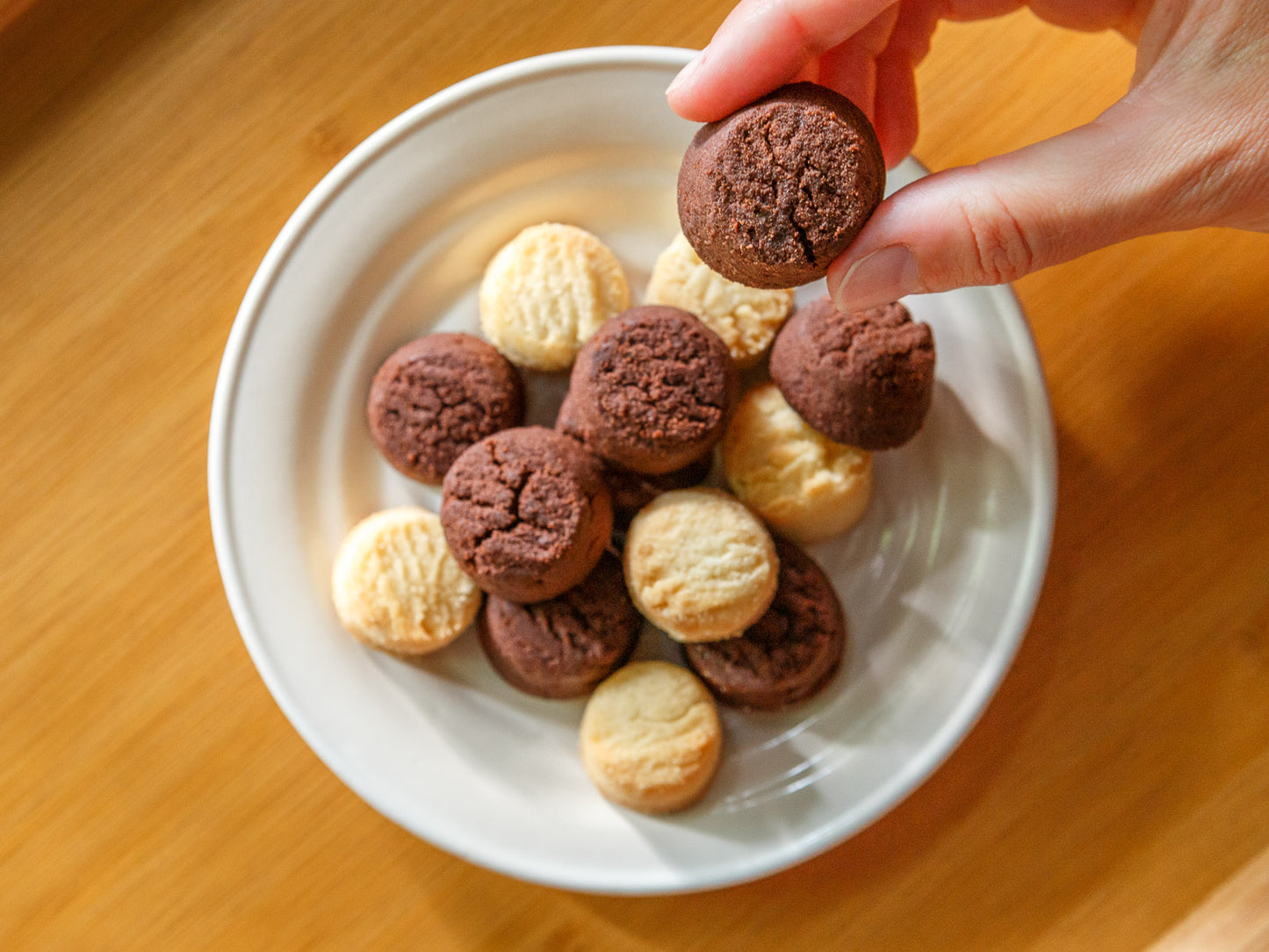 a lady holding a chocolate shortbread cookie